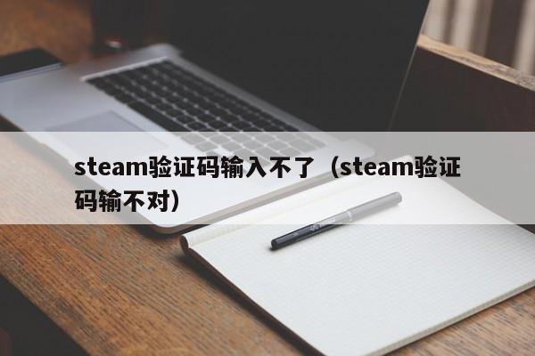 steam验证码输入不了（steam验证码输不对）
