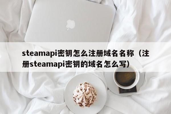steamapi密钥怎么注册域名名称（注册steamapi密钥的域名怎么写）