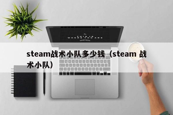 steam战术小队多少钱（steam 战术小队）