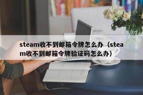 steam收不到邮箱令牌怎么办（steam收不到邮箱令牌验证码怎么办）