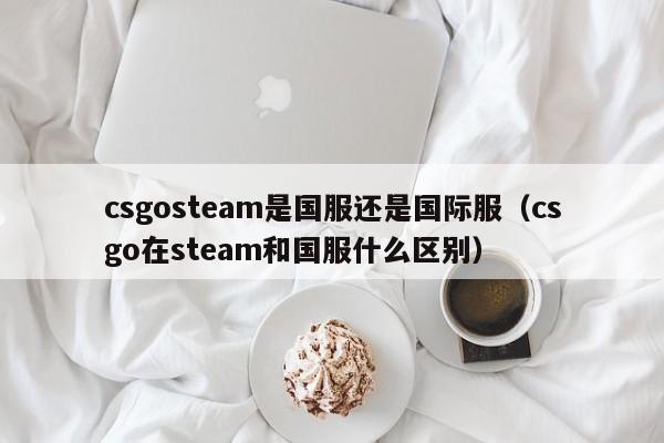 csgosteam是国服还是国际服（csgo在steam和国服什么区别）