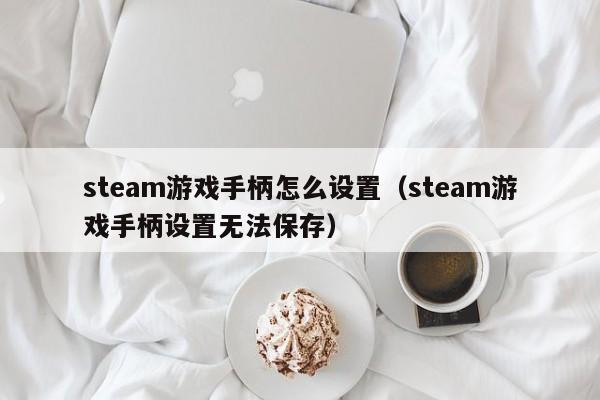 steam游戏手柄怎么设置（steam游戏手柄设置无法保存）