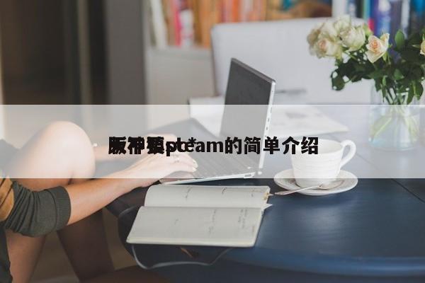 天神镇pc*
版不要steam的简单介绍