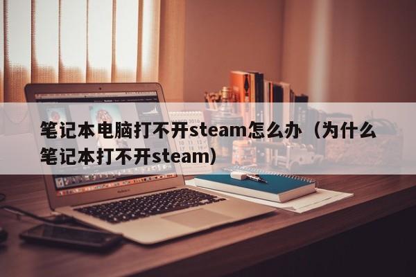 笔记本电脑打不开steam怎么办（为什么笔记本打不开steam）